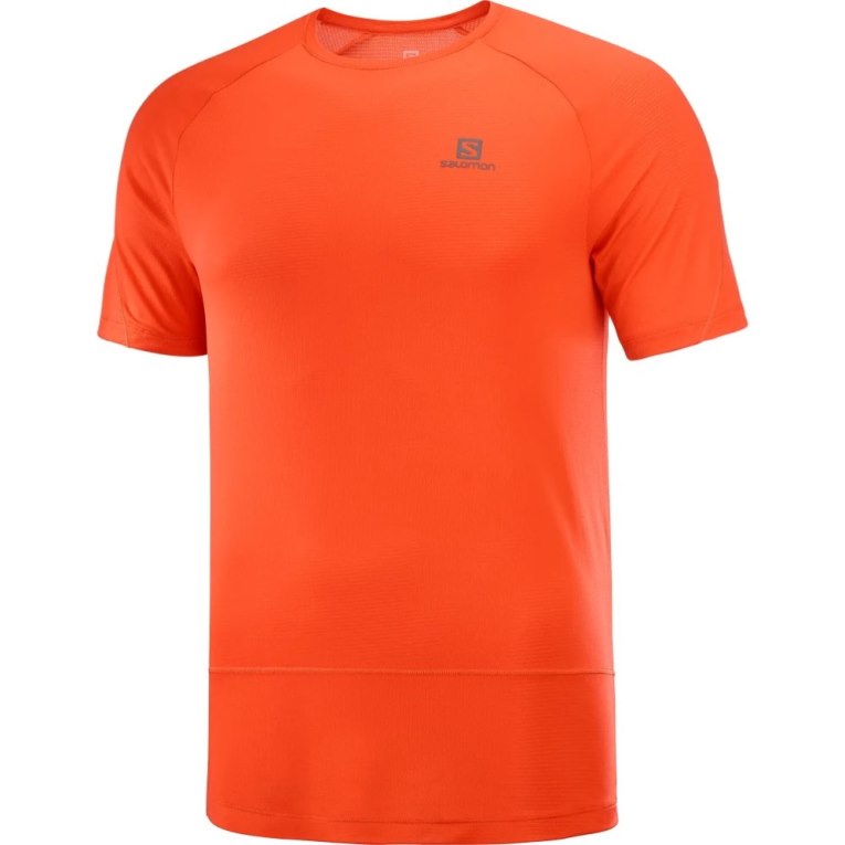 Orange Salomon Cross Run Short Sleeve Men's T-Shirts | PH 90687N